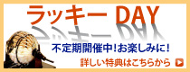 平日ラッキーデー