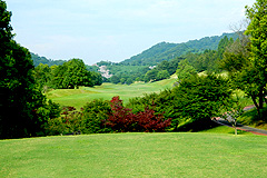 Hole3写真