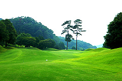 Hole7写真
