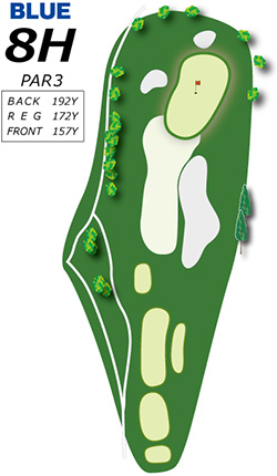 Hole8コース図