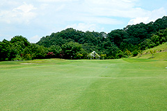 Hole4写真