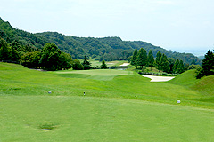 Hole6写真