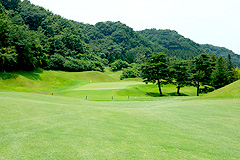 Hole7写真