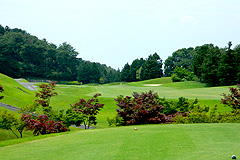 Hole8写真
