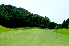 Hole8写真