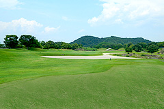 Hole6写真