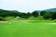Hole6写真
