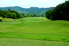 Hole8写真
