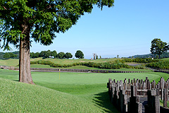 コース風景